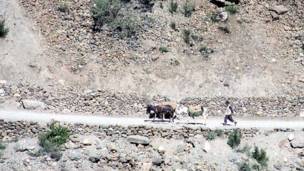 Роҳ дар Афғонистон 