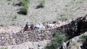 Муйсафеди савори хар 