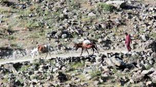 Қисмати марзи Бадахшони Афғонистон