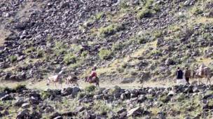 Қисмати марзи Бадахшони Афғонистон