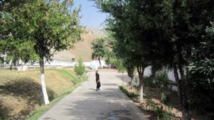 Зиндони занона 