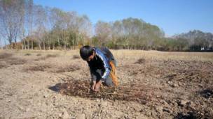 Мардуми рустои Қизилнишон