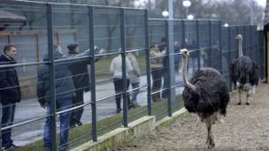 манзили муҷаллали хориҷ аз шаҳри президент Янукович