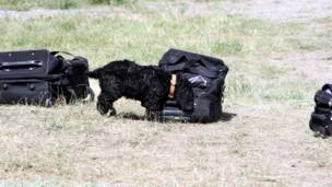 Амалиёти намоишӣ дар Лоҳур