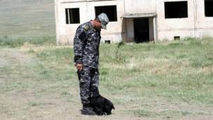 Амалиёти намоишӣ дар Лоҳур