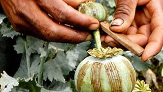 Маводди мухаддир