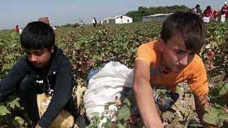 Кори кӯдакон