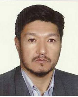 Муҳаммадалӣ Аҳмадӣ