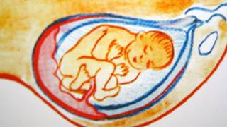 Кӯдак дар батни модар 