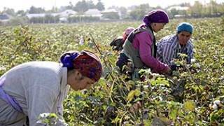 Занони кишоварз 