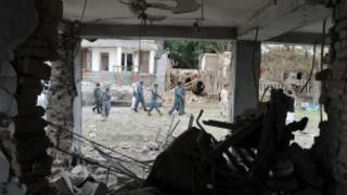 инфиҷор дар Ҷалолобод