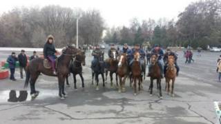 Тазоҳургарон