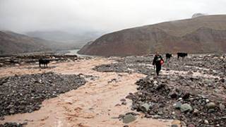 Сел дар Шӯрообод