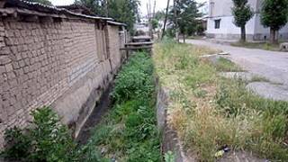 Конолҳои обгузари Шоҳмансур