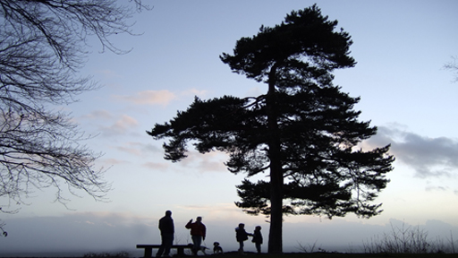 Family standing by tree