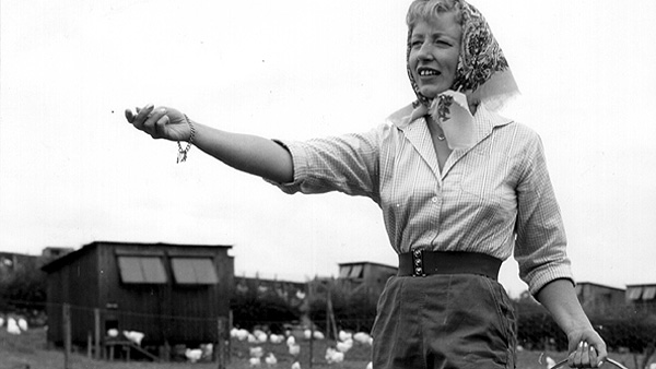 Eileen Barry (Diana Hood) 