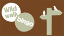 Wild Walk Bingo