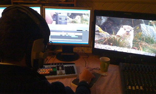 Editing for Autumnwatch