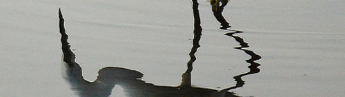 Quiz question 4 - reflection