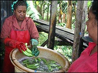 women cleaning bananas