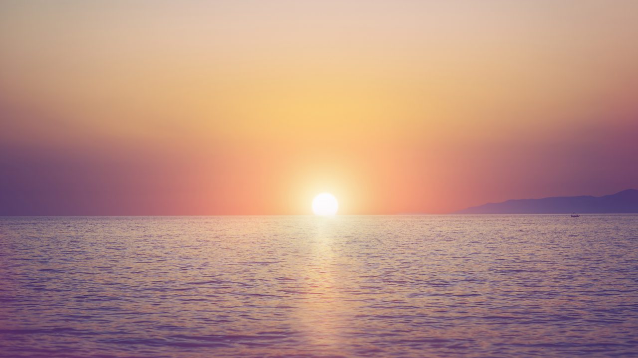 Schubert: Trio in E flat major, D 929