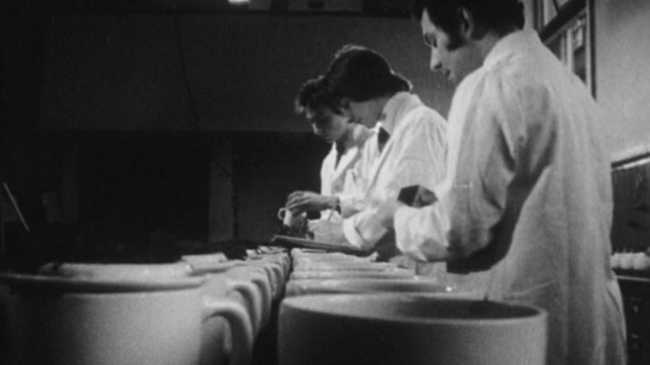 What makes a perfect cuppa? 1975