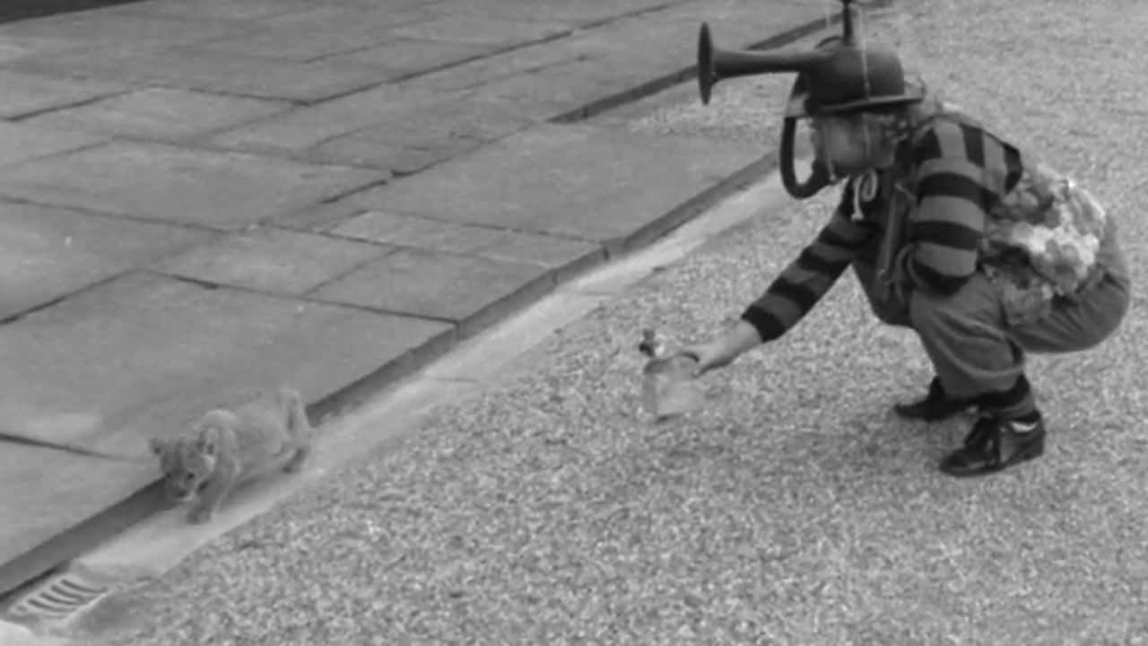 Wilf Lunn's protest bike, 1972