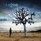 bluetree.jpg
