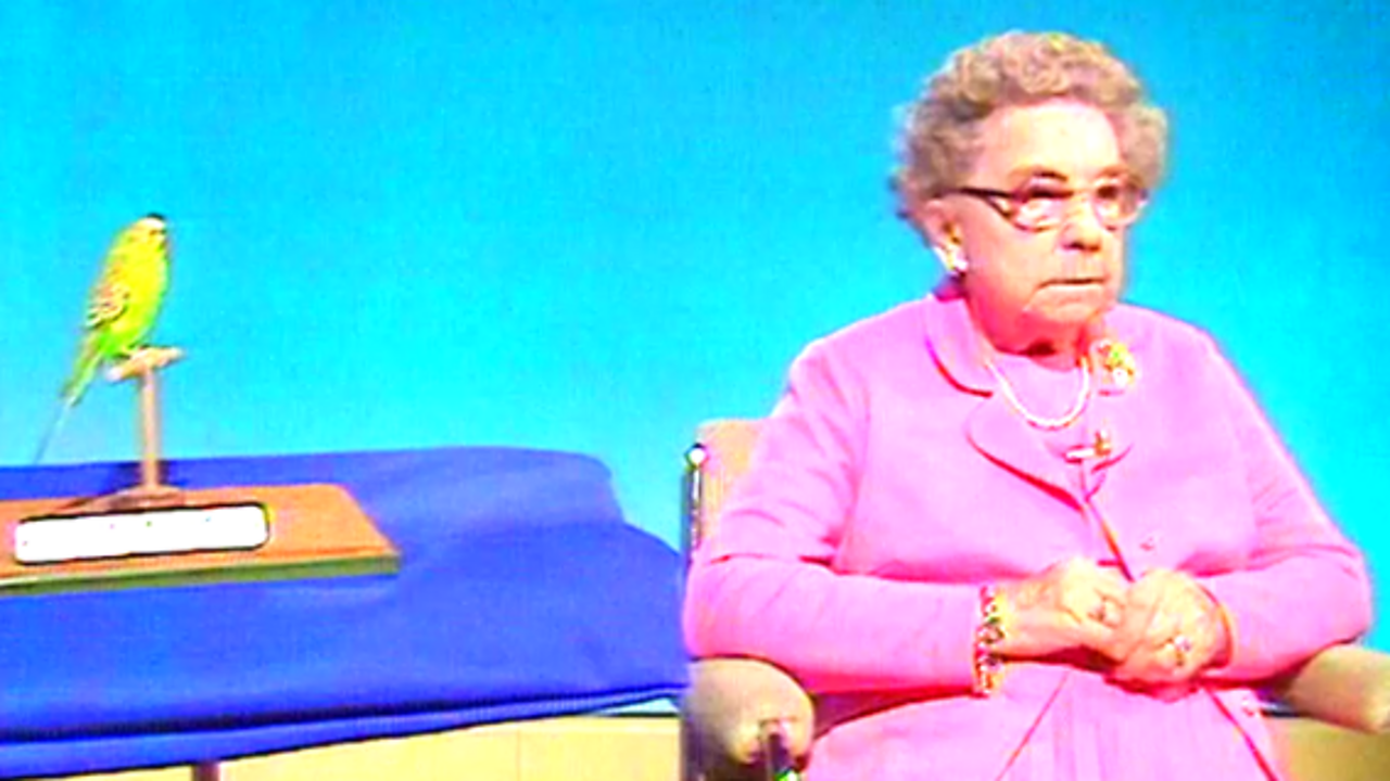 Sparkie the champion ex-budgie, 1986