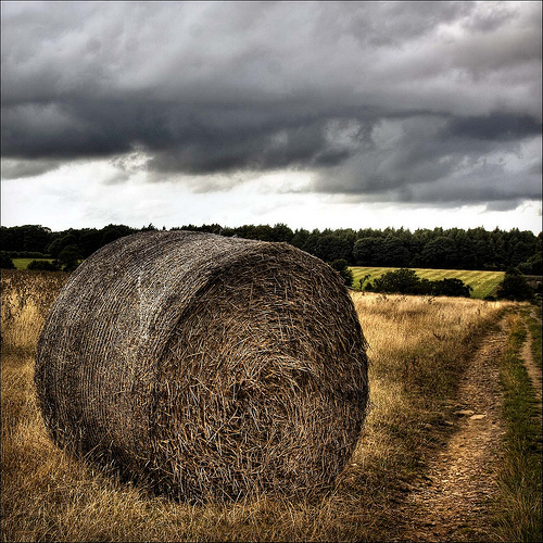 English countryside © Black cat photos