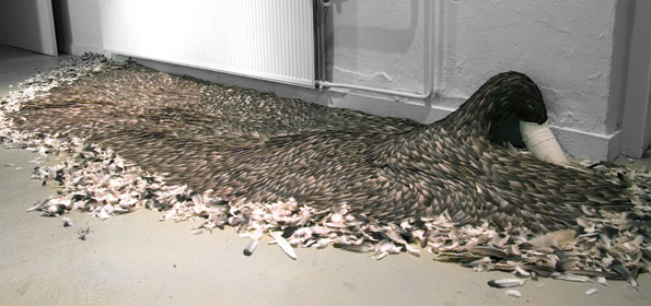 Sluice by Kate MccGwire