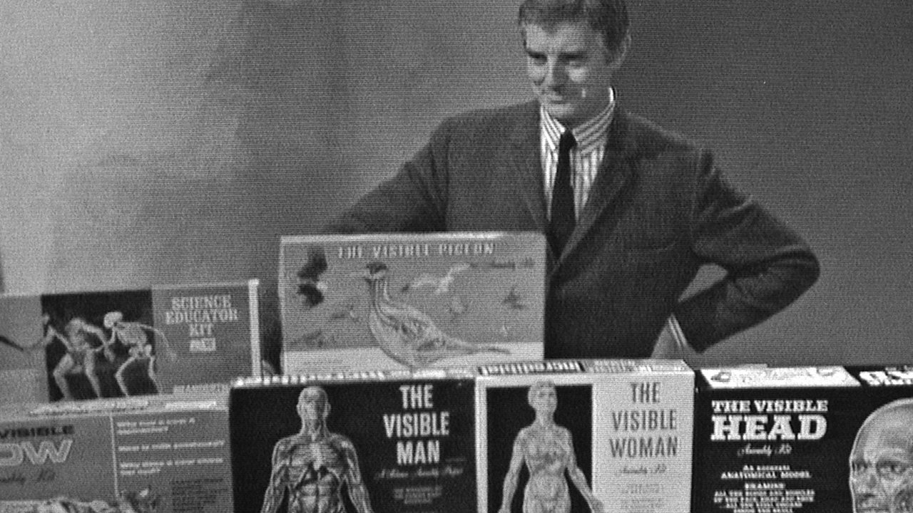 Anatomical model toys, 1964