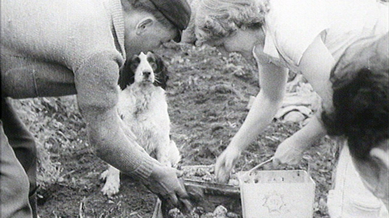 Meet the farming family, 1957