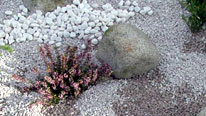 gravel garden with rocks