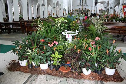 Memories of Carifesta