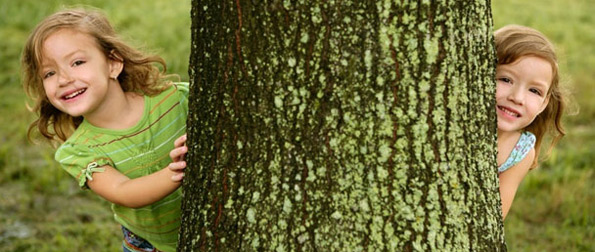 children playing in trees