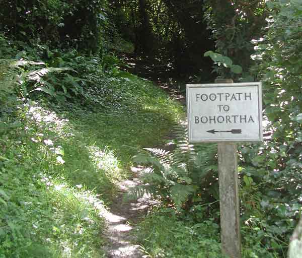 Picture of countryside nera Bohortha