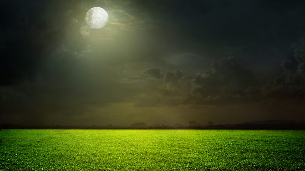 Bridge: 3 Songs for Medium Voice, Viola and Piano, H 76/3: Music when soft voices die