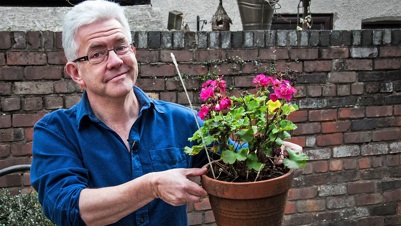 BBC Local Poets on BBC Sounds