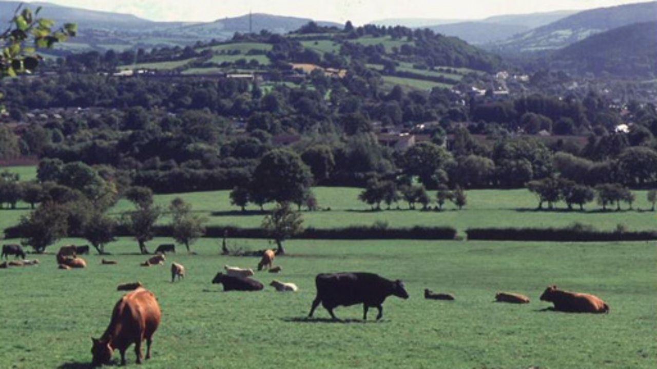 The Duke's Award - Part 2