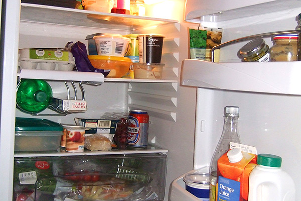 The contents of Pennie Latin's fridge.