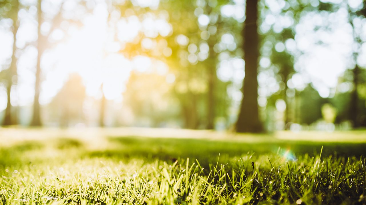 Brahms: Variations on a theme by Haydn