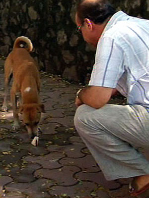 Theo offers a stray dog a Marmite sandwich. The dog sniffs it before declining the offer