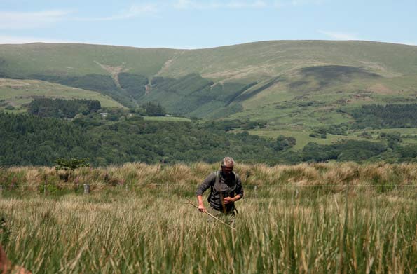 Searching for a nest at Ynys-hir