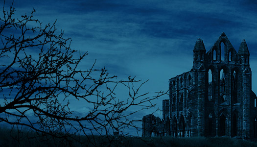 gothic imagination promo image