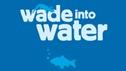 Wade into water