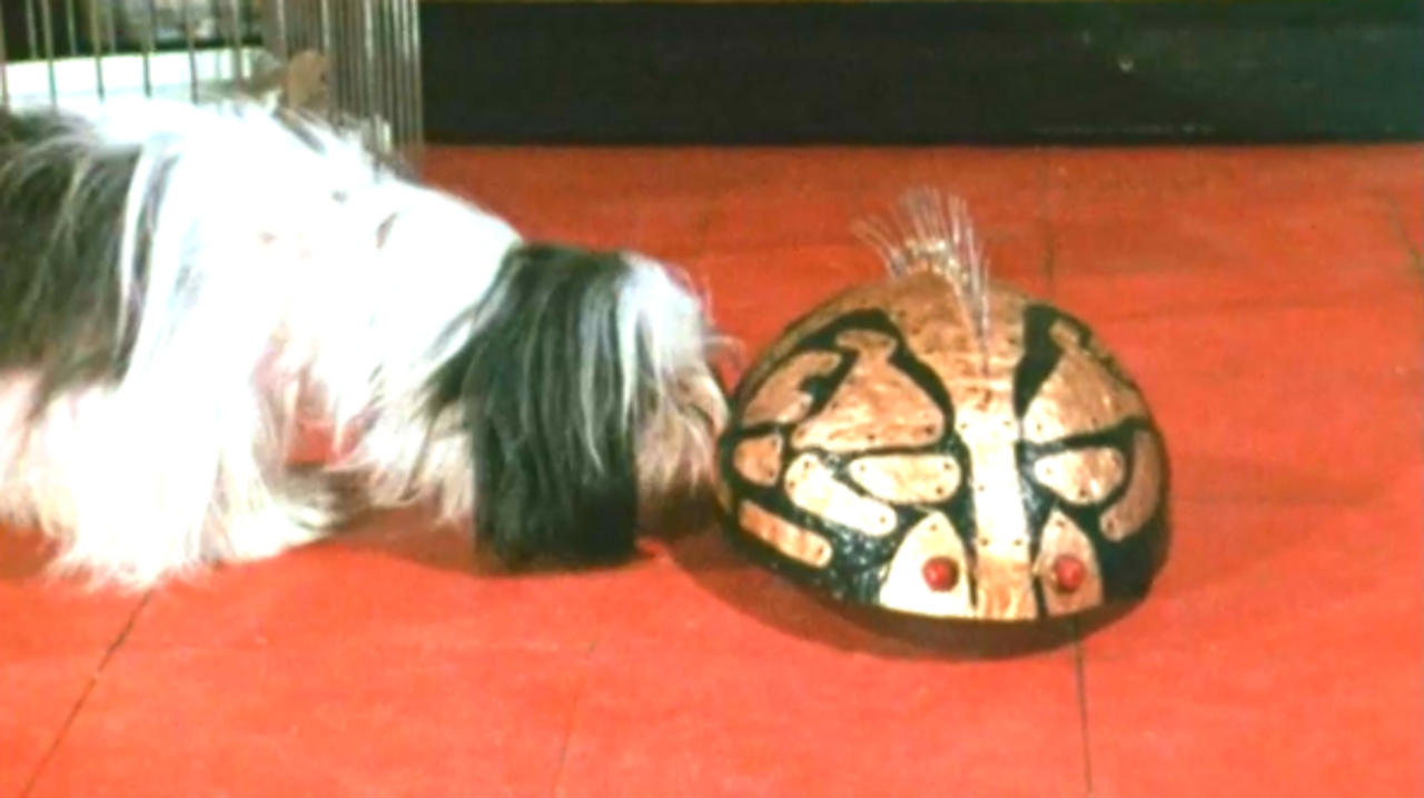 Xee the robotic pet, 1971