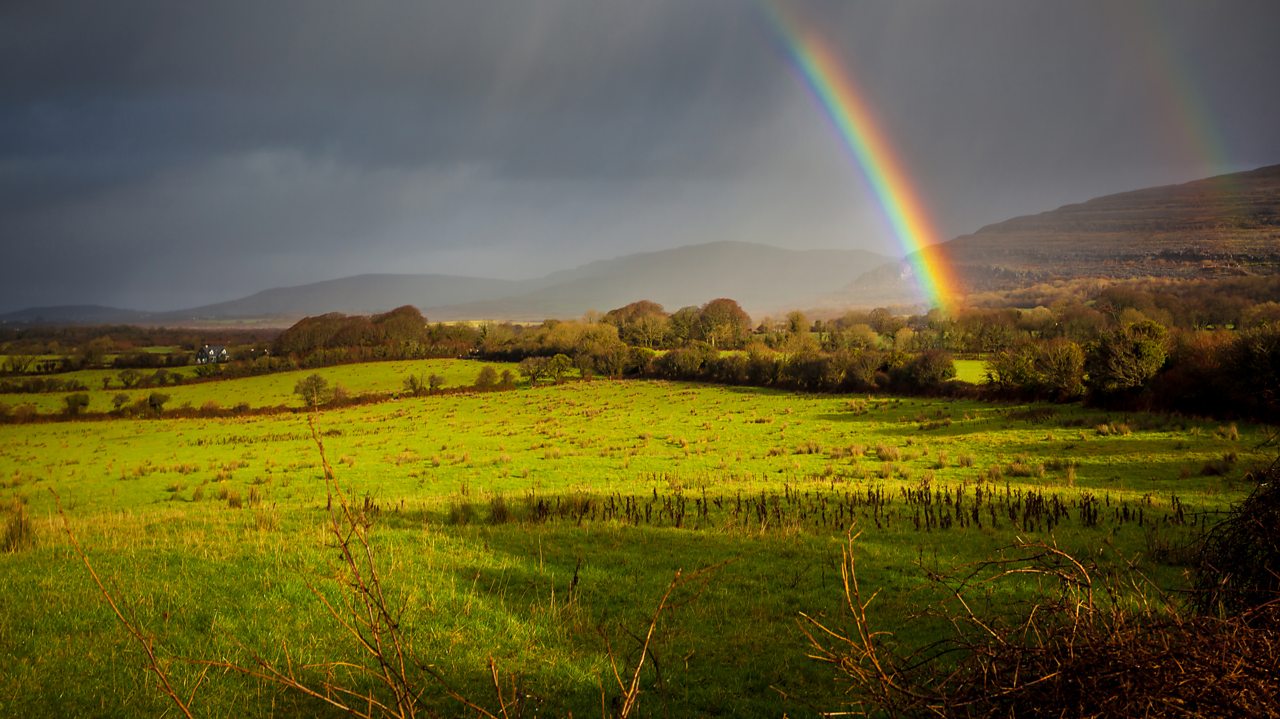 Schubert: Piano Trio, D 898