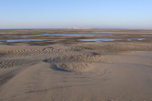Goodwin sands