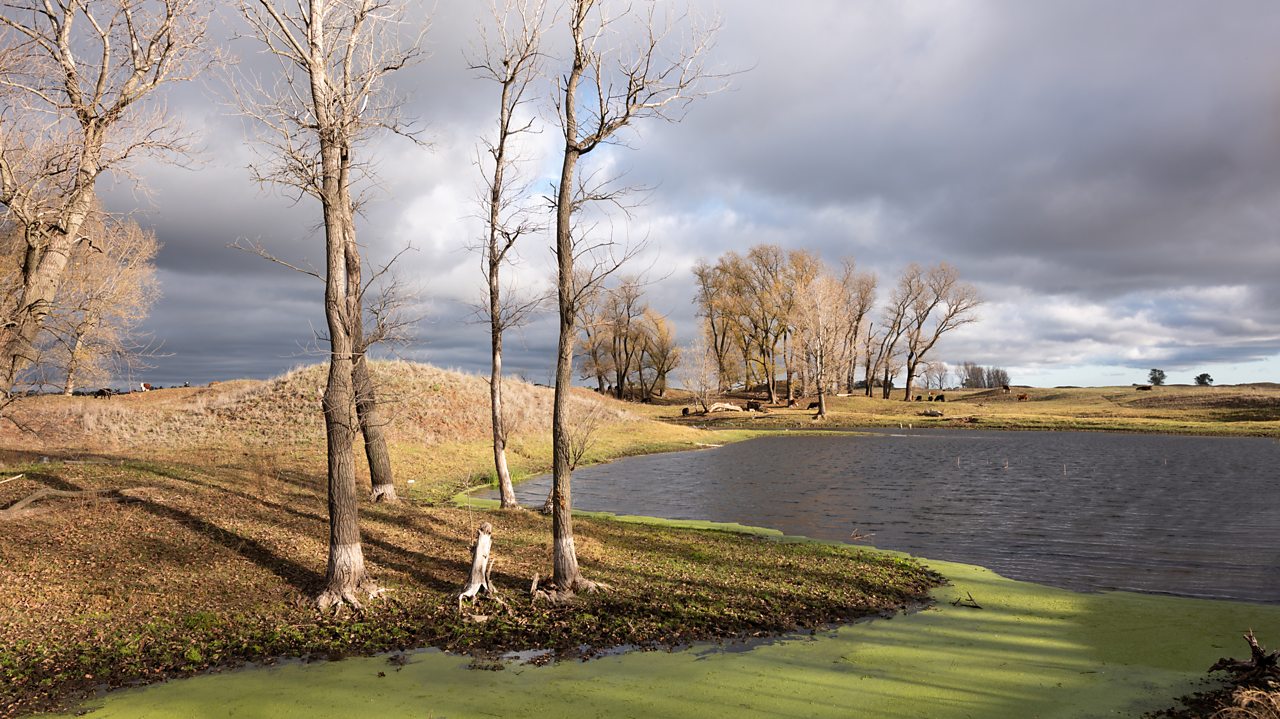 Piazzolla: The Four Seasons of Buenos Aires arr. Sergio Assad (Autumn)